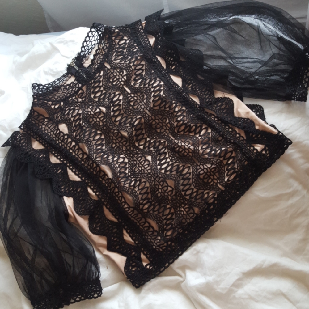 Beautiful Lace/Organza Top